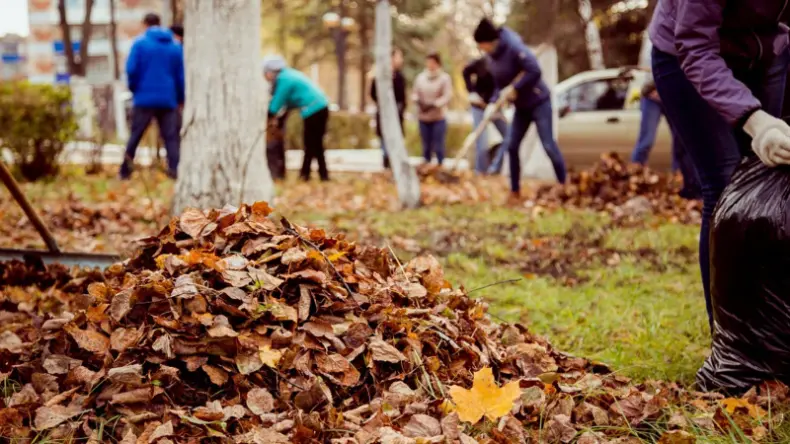 Осень – это традиционное время для наведения чистоты и порядка на улицах поселения.
