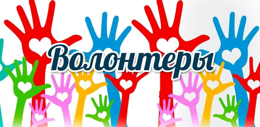 Регистрация волонтёров 