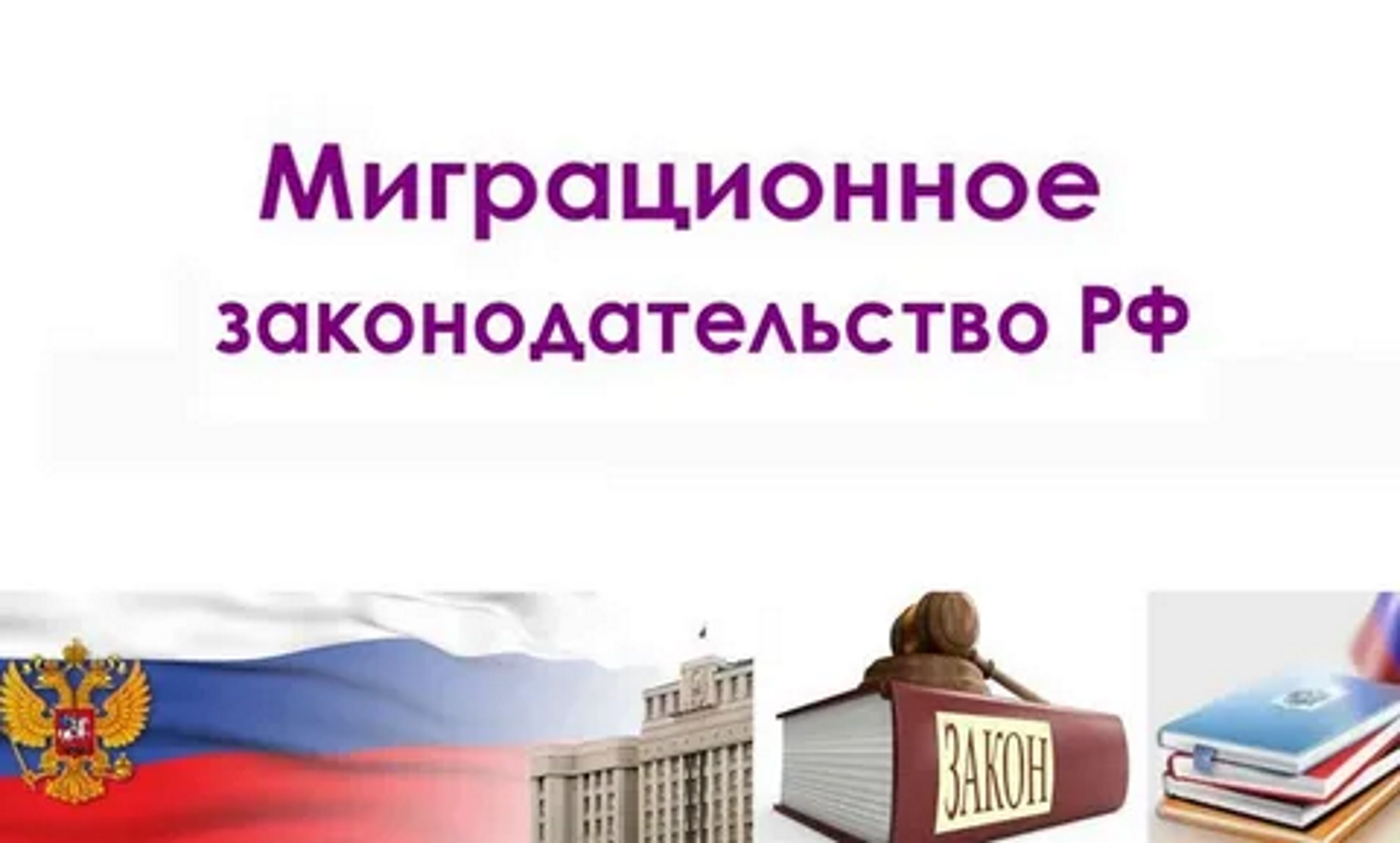 Основные положения Федеральных законов от 8 августа 2024 г. № 260-ФЗ «О внесении изменений в отдельные законодательные акты Российской Федерации» и № 248-ФЗ «О внесении изменений в Кодекс Российской Федерации об административных правонарушениях»