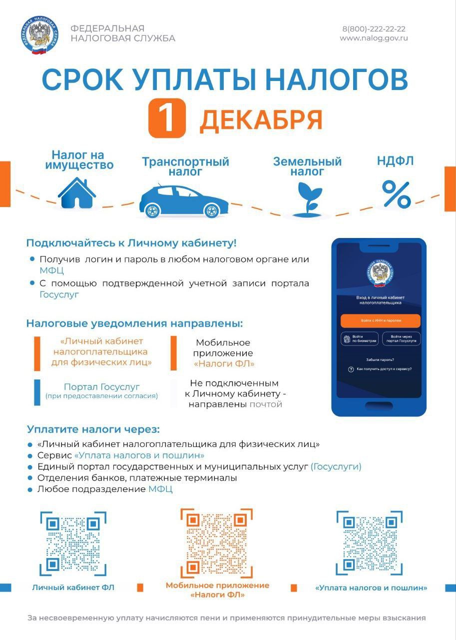 Уплата налогов до 1 декабря