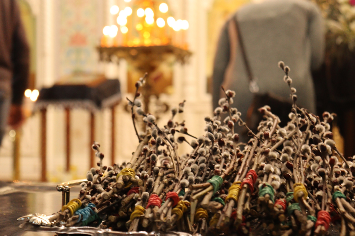 8WRUGW1w-YH0PqmuMjfudKkaluHxVlPW4Fk9eANYDcfpSzUx7uBEDgi8COi3njsnnxSkkWak3qn47aGMYTu6_Dvk