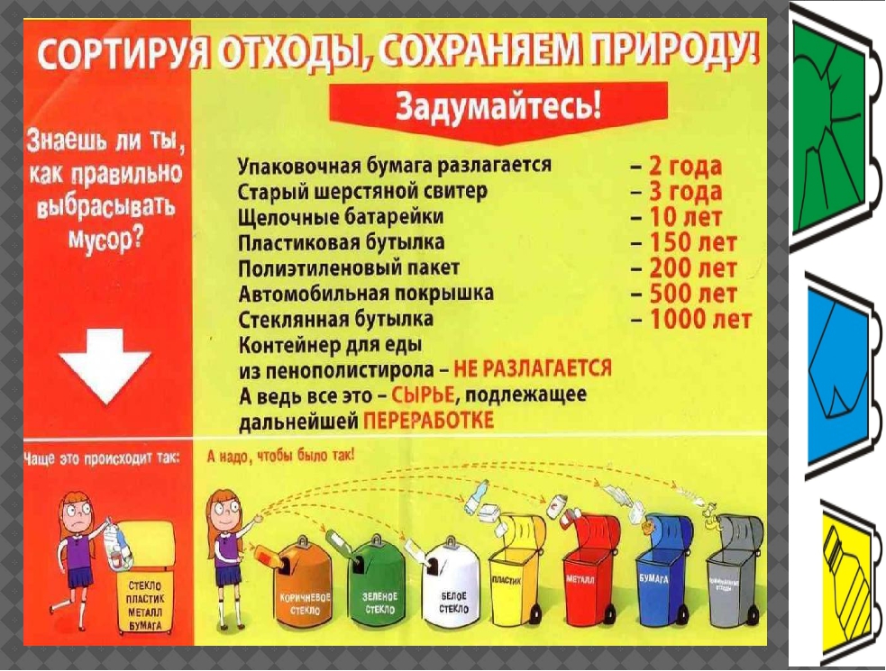 Правила обращения с  твердыми коммунальными отходами